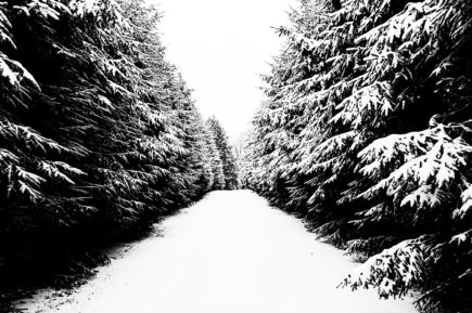 Maudslay State Park