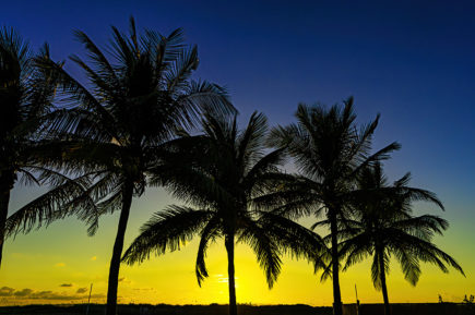 Miami Beach Sunrise