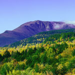 White Mountains