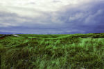 Parker River Wildlife Refuge