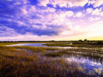 River of Grass