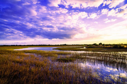 River of Grass