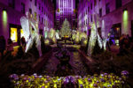 Rockefeller Center Christmas Tree