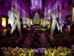 Rockefeller Center Christmas Tree