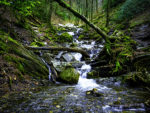 smoky mountains waterfalls