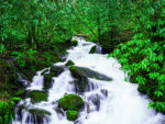 waterfalls in the smoky mountains