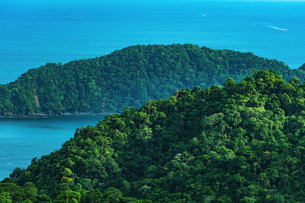 costa rica rainforest