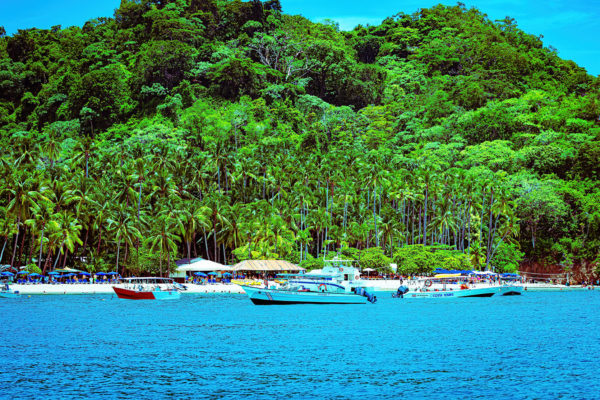 tortuga island costa rica