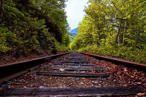 Autumn Train Tracks
