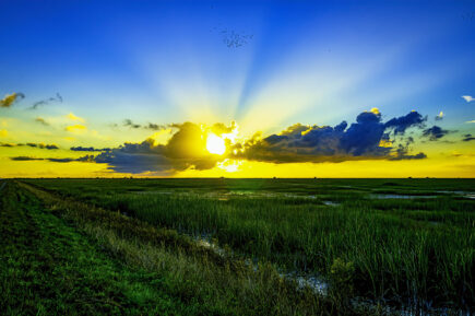 florida everglades sunset