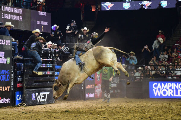 professional bull riding