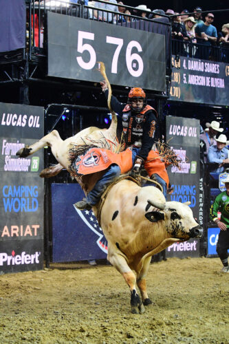 professional bull riding