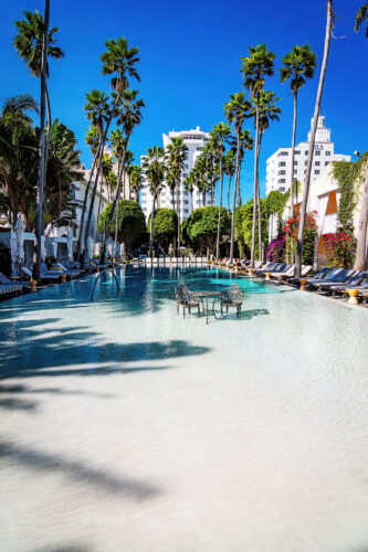 Delano Hotel pool